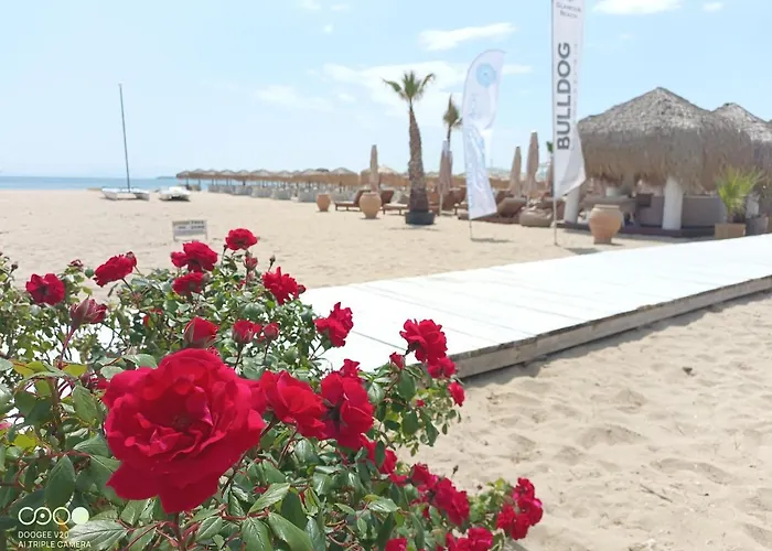 Monastery Ii Garden Like Апартамент